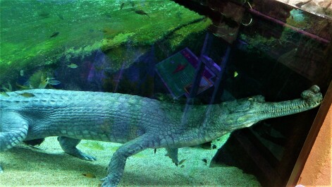 photo 1497764