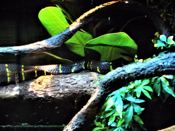 photo 1497766