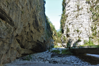 photo 1522055