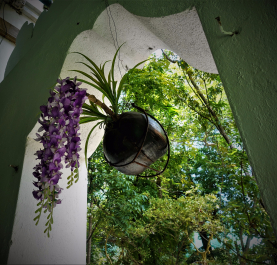 photo 1543919
