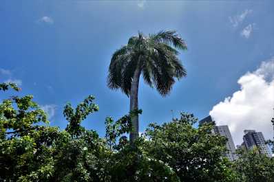 photo 1545352