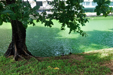 photo 1569916