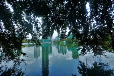 photo 1571695