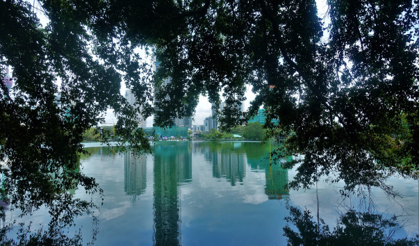 DSC02605 (1)