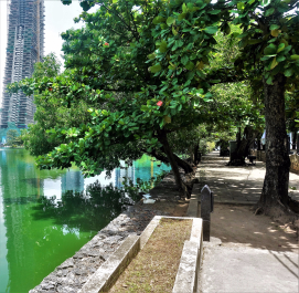 photo 1573276