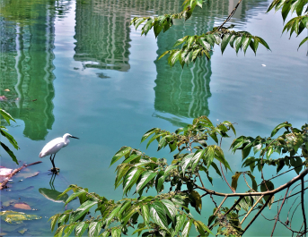 photo 1575347