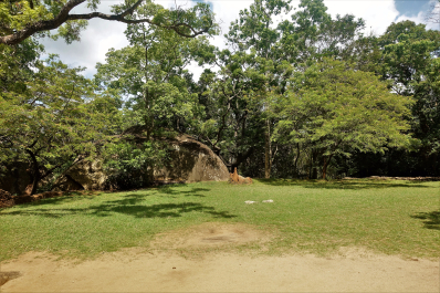 photo 1548545