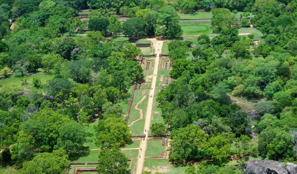 DSC02402