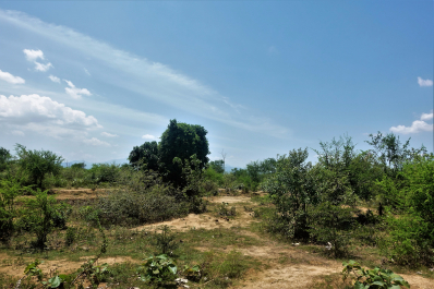 photo 1539517