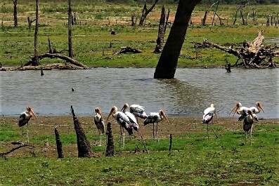 photo 1543583