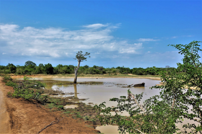 photo 1554417