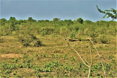 photo 1573279