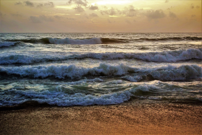 photo 1542275