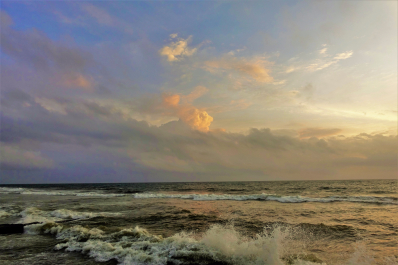 photo 1544710