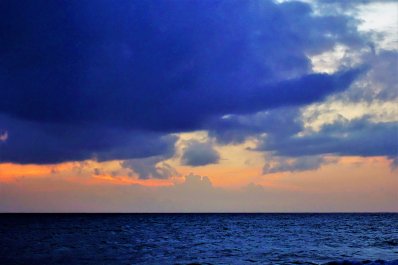 photo 1544712