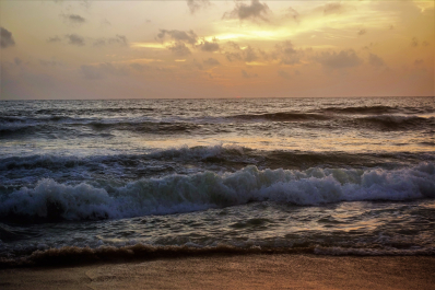 photo 1547766