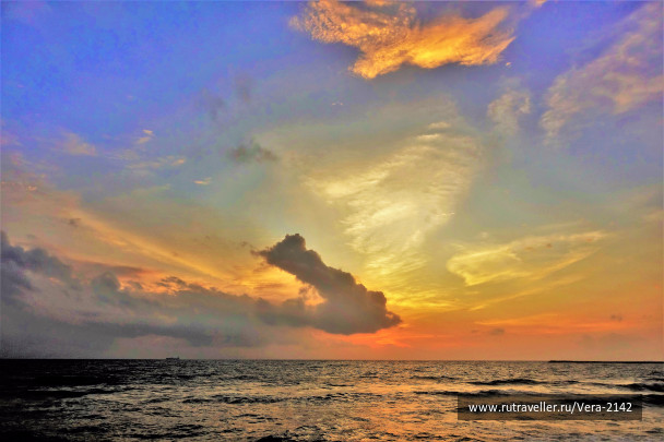 photo 1591779