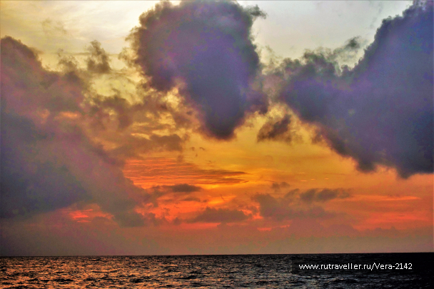photo 1596016