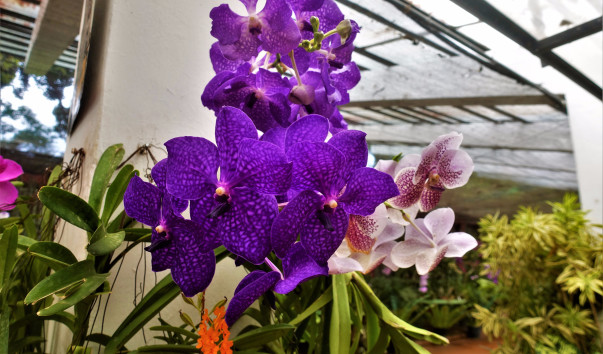 ������������ ��� (142)