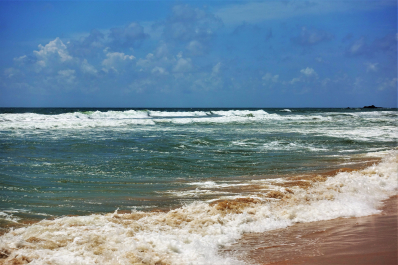 photo 1540919