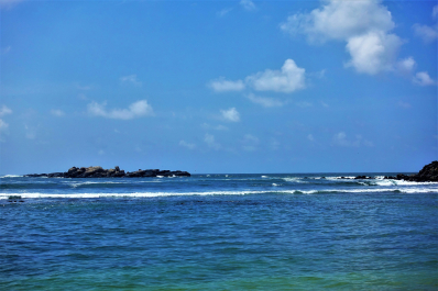 photo 1559017