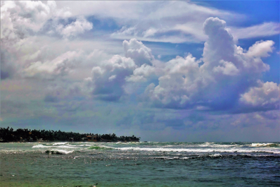 photo 1561524