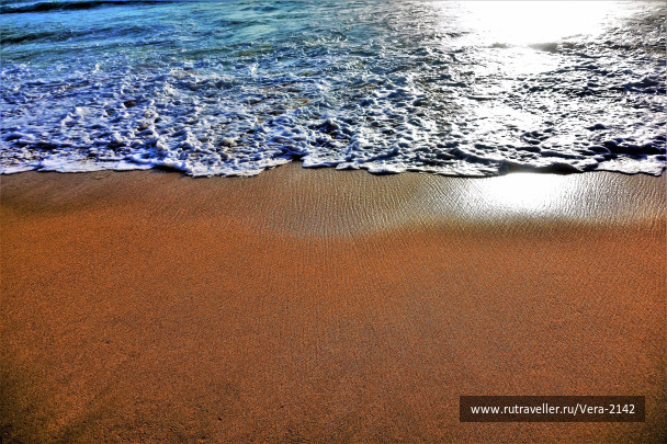 photo 1590263