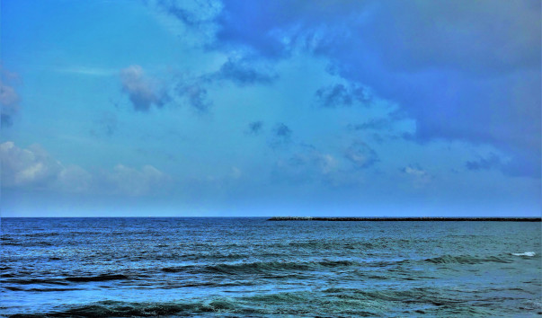 DSC02901
