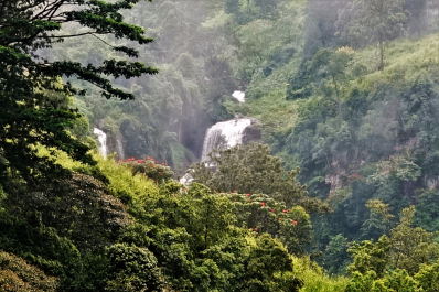 photo 1543243