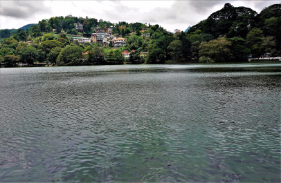 photo 1552963