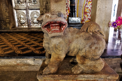 photo 1562184