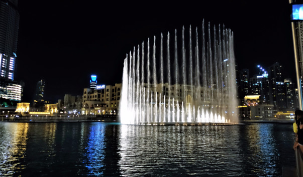 DSC04976