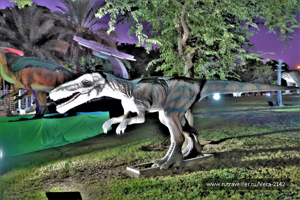 photo 1578749