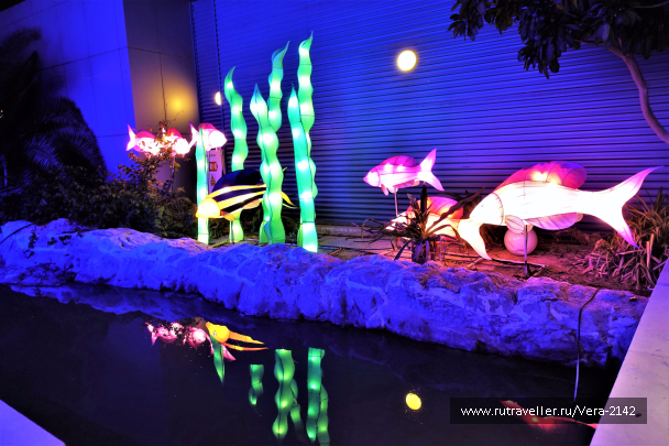 photo 1581907