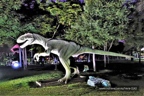 photo 1582982