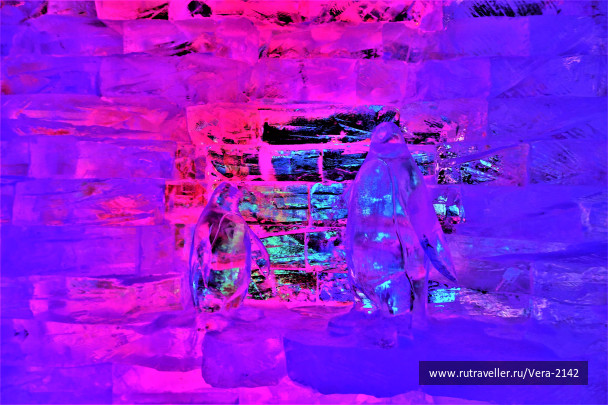 photo 1593768