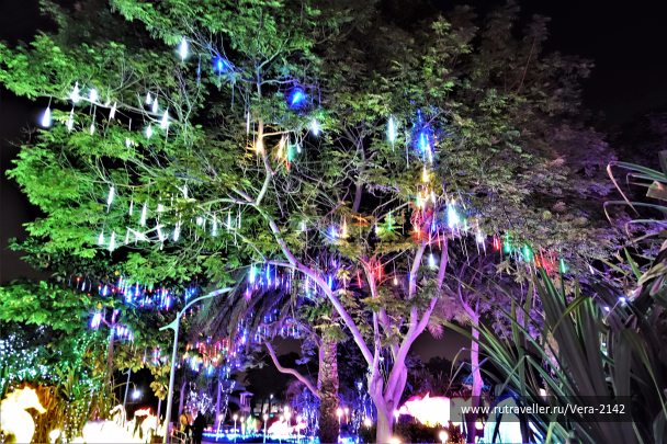 photo 1594185