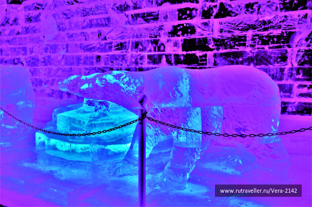 photo 1594482