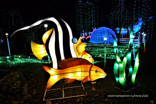 photo 1596021