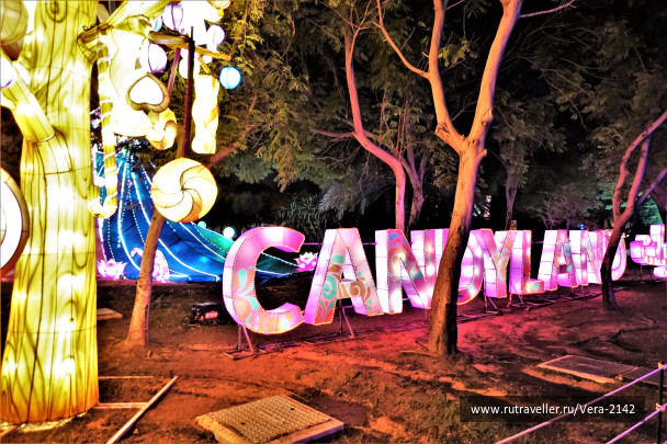 photo 1604772