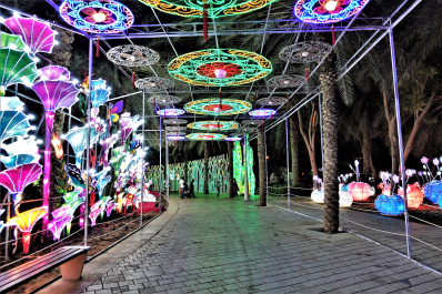 photo 1614283