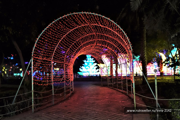 photo 1614889