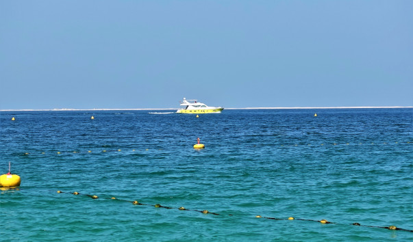 DSC05507