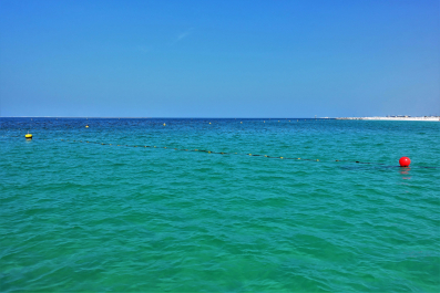 photo 1584079