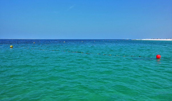 DSC05495