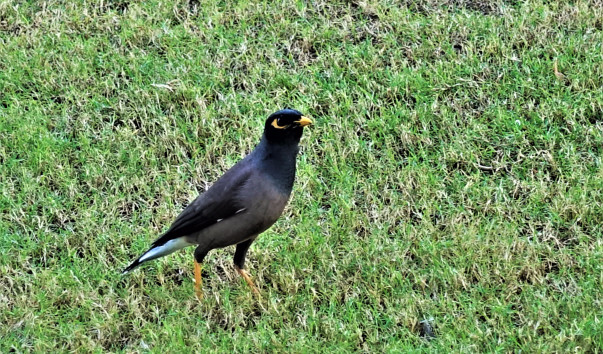 DSC05090