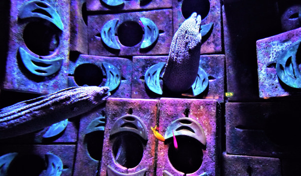 DSC05121