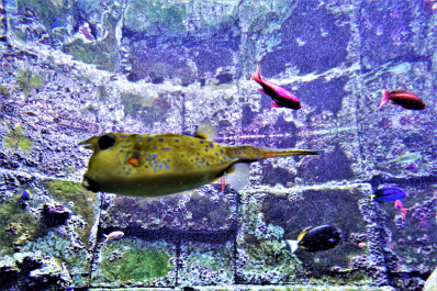 photo 1615813