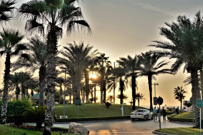photo 1618984