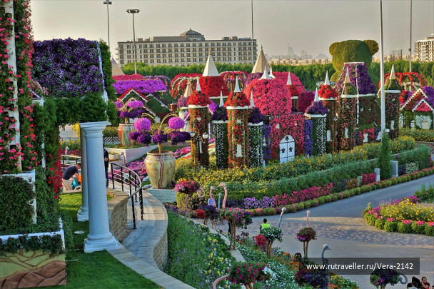 Dubai Miracle Garden амфитеатр